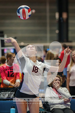 RJH08029-ARW_DxO_DeepPRIME