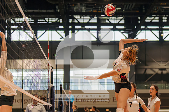 RJH08411-ARW_DxO_DeepPRIME