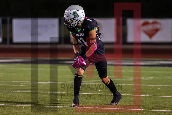 TOHS v Agoura--123