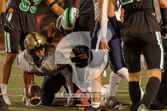 RJH02644-ARW_DxO_DeepPRIME