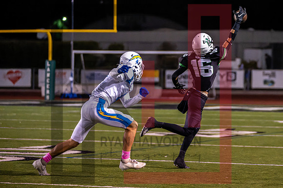 TOHS v Agoura--116