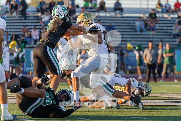 RJH04526-ARW_DxO_DeepPRIME