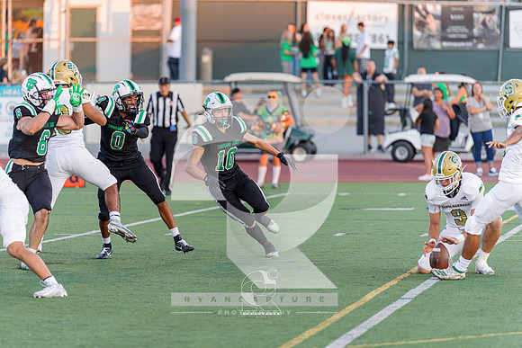 RJH05979-ARW_DxO_DeepPRIME