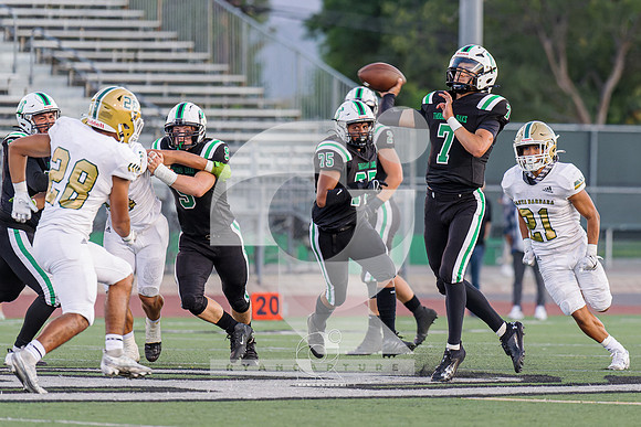 RJH06065-ARW_DxO_DeepPRIME
