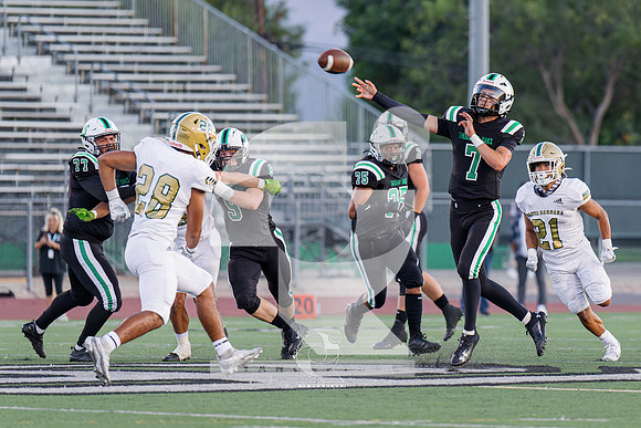 RJH06066-ARW_DxO_DeepPRIME