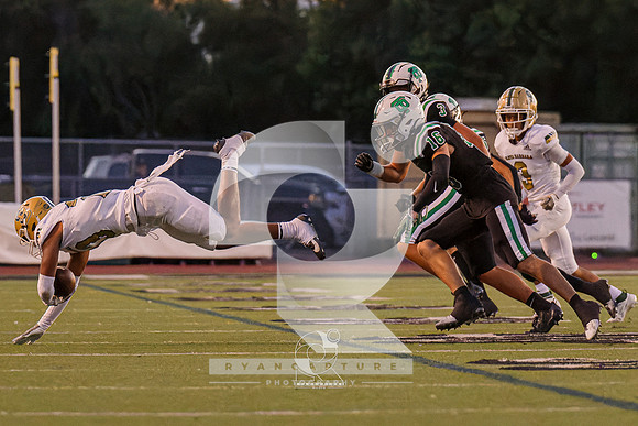 RJH06291-ARW_DxO_DeepPRIME