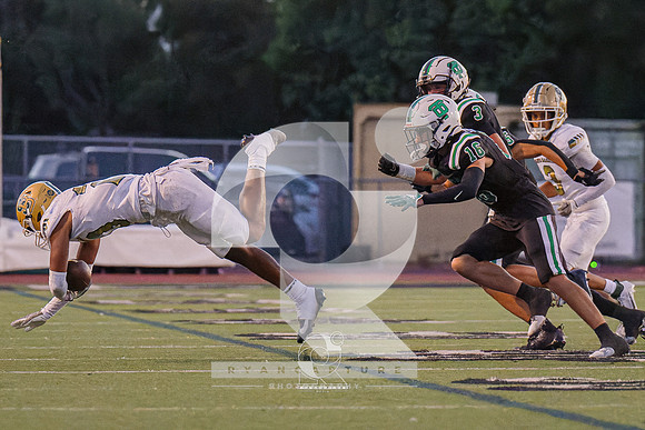 RJH06289-ARW_DxO_DeepPRIME