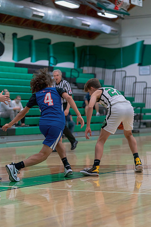 _RJH8153-2