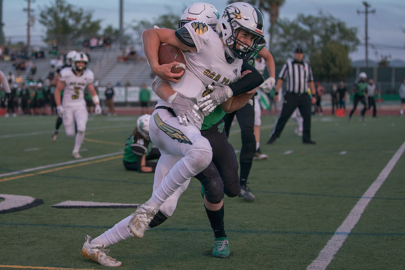 DSC03274
