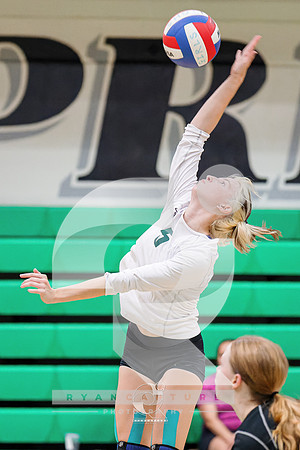 RJH00013-ARW_DxO_DeepPRIME