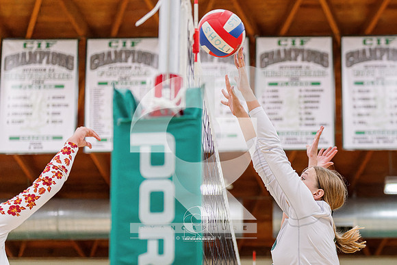 RJH00041-ARW_DxO_DeepPRIME