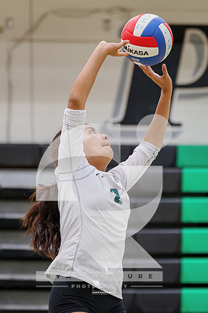 RJH08977-ARW_DxO_DeepPRIME-2