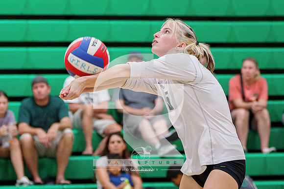 RJH09204-ARW_DxO_DeepPRIME-2