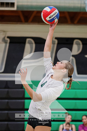 RJH09223-ARW_DxO_DeepPRIME-2