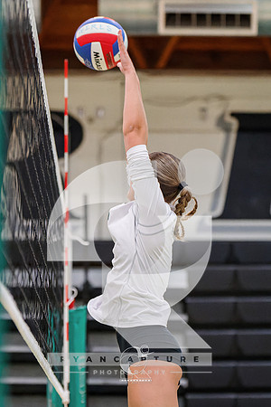 RJH09340-ARW_DxO_DeepPRIME-2