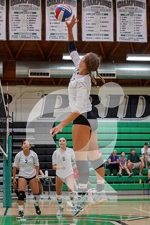 RJH09399-ARW_DxO_DeepPRIME