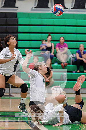 RJH09425-ARW_DxO_DeepPRIME-2