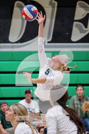 RJH09460-ARW_DxO_DeepPRIME-2