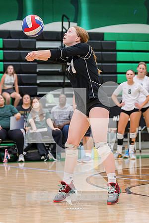 RJH09740-ARW_DxO_DeepPRIME