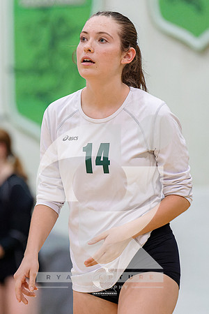 RJH09841-ARW_DxO_DeepPRIME-2