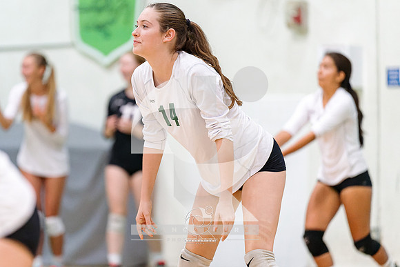 RJH09840-ARW_DxO_DeepPRIME