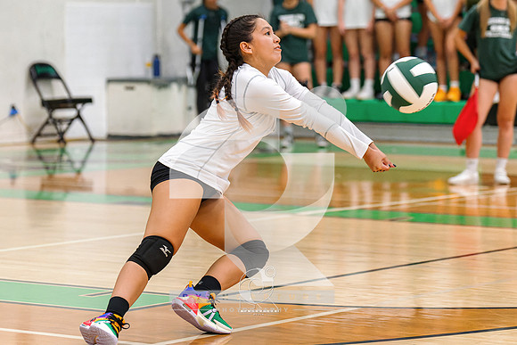 RJH00465-ARW_DxO_DeepPRIME