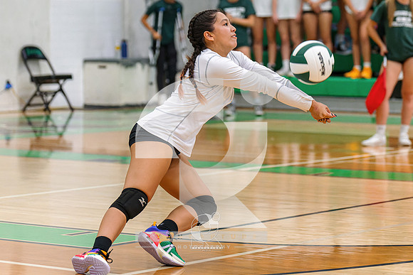 RJH00466-ARW_DxO_DeepPRIME