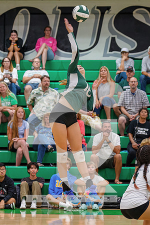 RJH00888-ARW_DxO_DeepPRIME