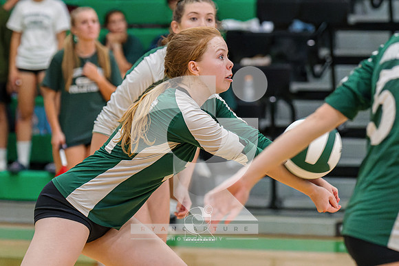 RJH01108-ARW_DxO_DeepPRIME