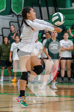 RJH08382-ARW_DxO_DeepPRIME