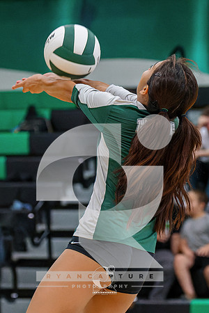 RJH08389-ARW_DxO_DeepPRIME-2