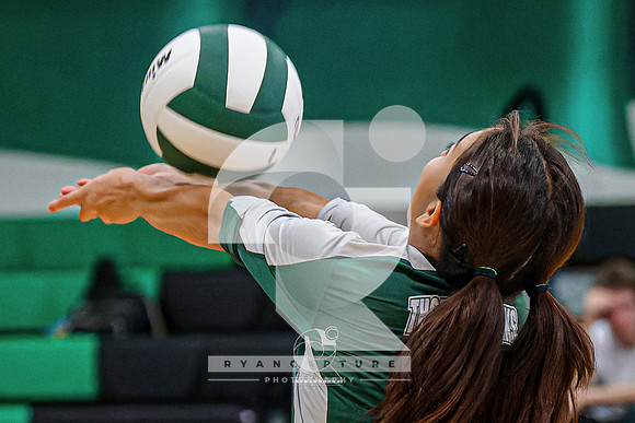 RJH08389-ARW_DxO_DeepPRIME-4