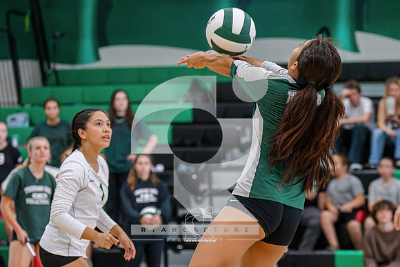 RJH08389-ARW_DxO_DeepPRIME-3