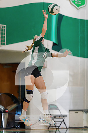 RJH08530-ARW_DxO_DeepPRIME