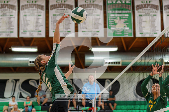 RJH08647-ARW_DxO_DeepPRIME