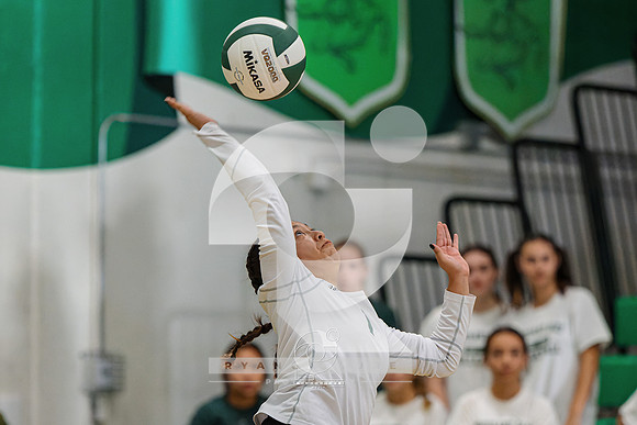 RJH08837-ARW_DxO_DeepPRIME