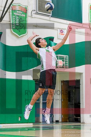 TOHS v Agoura VBall 6475