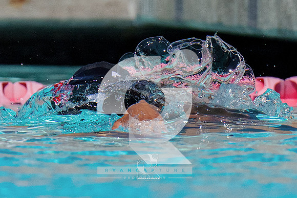 RJH09397
