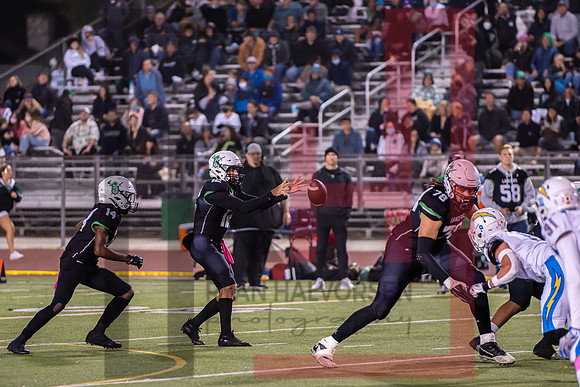 TOHS v Agoura--55