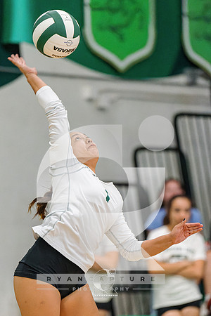 RJH07687-ARW_DxO_DeepPRIME