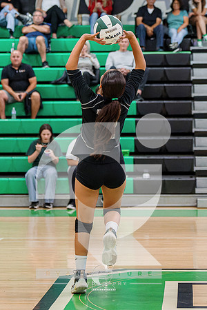 RJH07702-ARW_DxO_DeepPRIME