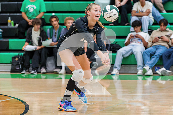 RJH07699-ARW_DxO_DeepPRIME
