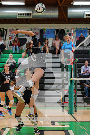 RJH07703-ARW_DxO_DeepPRIME