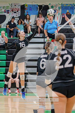 RJH07773-ARW_DxO_DeepPRIME