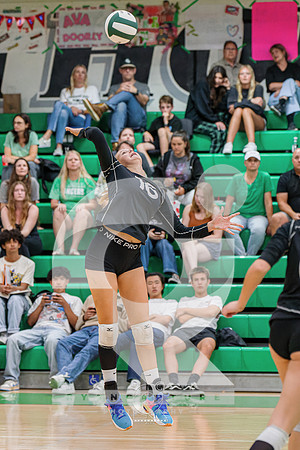 RJH07779-ARW_DxO_DeepPRIME