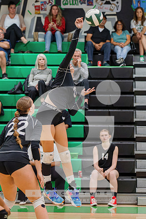 RJH07790-ARW_DxO_DeepPRIME