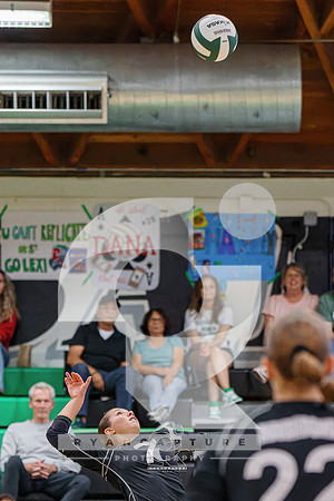 RJH07852-ARW_DxO_DeepPRIME-2
