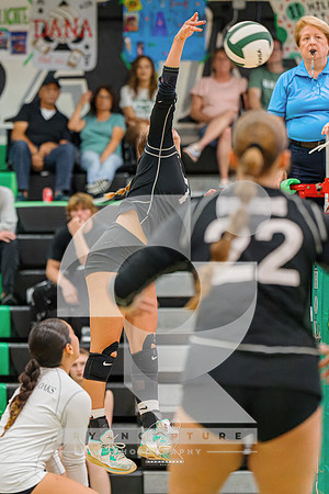 RJH07906-ARW_DxO_DeepPRIME
