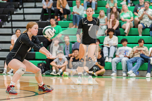 RJH07943-ARW_DxO_DeepPRIME