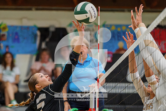 RJH07998-ARW_DxO_DeepPRIME-2